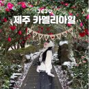 서귀포보건소 | 제주 중문 근처 가볼만한곳 서귀포 동백 카멜리아힐 입장권 할인