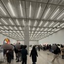 영생동물병원 | [전시] 데이미언 허스트 : 진실은 없어 그러나 모든 것은 가능하지 관람 후기 | 국립현대미술관 서울