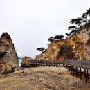 용천 Daum카페