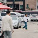 핑퐁 주식회사