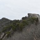 금강대학교(논산방면) 네이버블로그