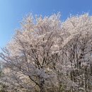 세븐일레븐 대구월성점 이미지