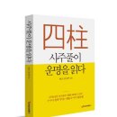 생활속의 사주풀이 이미지