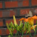 한수농장 이미지