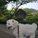 앙성농약사 이미지