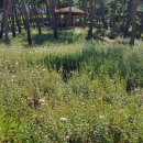 죽교농장 이미지