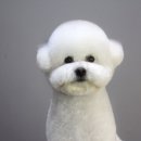 멍분의 멍 이미지