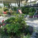 놀이터숯불구이 이미지