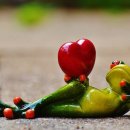 청개구리 이미지