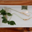 선재길식당 이미지