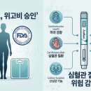 리셋기능비만 | 최근 전 세계를 뜨겁게 달구고 있는 비만 치료제 위고비와 마운자로
