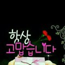 이불혼수마트 이미지