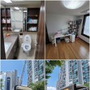 석삼말로 | 안전하게 짐 보관, 안산보관이사 완벽 선택 가이드