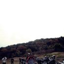 나무투어 이미지