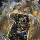 모퉁이 꼬마김밥 이미지