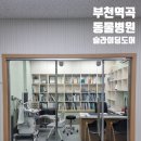 대성동물병원 이미지