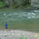 삼겹이운다 이미지