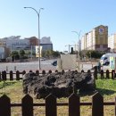 도련지석묘 1호 이미지