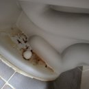 동오하이스트 이미지