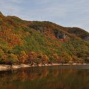 푸른초장 이미지