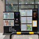 플라라레 이미지