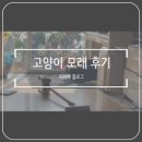 지금까지 썼던 내돈내산 고양이 모래 정리 (고양이 모래 추천)