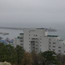 석호 이미지