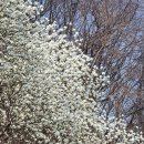 안양시시립만안도서관 이미지