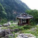구미정 - 인제군 구미동길 72 | 구미정