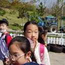 선암초교병설 이미지