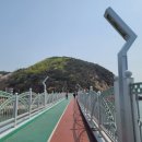 바다냥이네 이미지