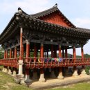 임실덕천리가침박달군락 이미지