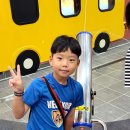 연세호암태권도 이미지