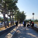 동해소토사 | 황해횟집_어게인 동해여행_활어회 대_물회_동해맛집_황해횟집 포장후기