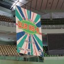 창원주짓수라스칼짐