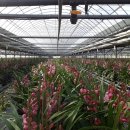 계성농장 이미지