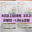 내가살뺀점핑다이어트 이미지