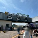 농협경제지주 안성팜랜드 승마센터 | 안성팜랜드 유채꽃 나들이, 승마체험까지 알차게 즐긴 후기(주차, 할인, 입장료 공유)