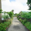 고정화할망집 이미지