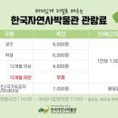 대전대정초교 이미지