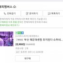 뮤지엄다 이미지
