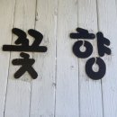 물안개 피는 마을,들꽃향기 이미지