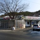 가선식당 Daum카페