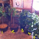 희정농장 이미지