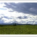 언덕위의 집 이미지