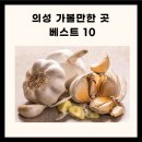 의성 가볼만한곳 경북 의성 가볼만 한곳 의성 가볼만한곳 베스트10 이미지