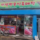 안나식육