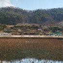 진흥동물병원 이미지