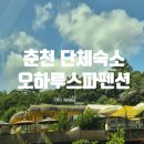 강촌역 | 춘천 오하루스파펜션 단체방 후기 (수영장O, 강촌역 픽업가능)