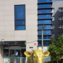 영주축협 한우프라자 청계산역점 이미지